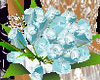 [TGUU] Blue roses