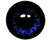 d.blue twinkling eyes