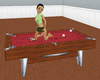 Pool Table w/ Poses