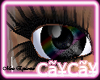 CaYzCaYz PunkLashNGBlcTB