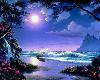 Midnight Ocean Love
