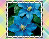 Spring/Sum-FlowerStamps