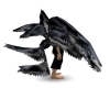 black n white wings