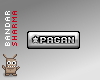 (BS) PAGAN in silver