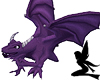 Purple Drake