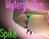 *MET Watermellon G.