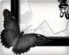 Darkness Frame