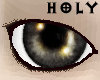 � Holy Sorrow Eye�