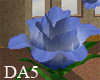 (A) Blue Rose Bud