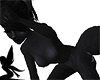 Midnight Kitty Bundle