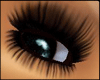 $R PUNK@$$ Lashes
