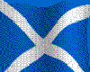 Scottish Flag Wings