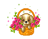 Puppy In Basket