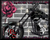 PSCL GothDragonChop F