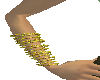 Golden-Yellow Bangles