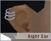 Piercing 3 Rings Ear (TR)