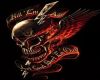 Product Image for Army Skull -Sticker