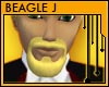 Goatee Golden Blonde