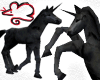 Black Unicorn