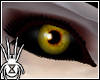 Solar Blackeyes