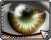 *L� eKlips Hazel M