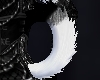 Fallen Dog Tail