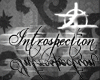 [Z] Introspection