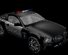 Police Punish & Enslave