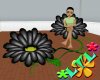 ~Oo Black Flower Chair