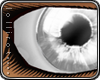 *L� iGleam - Silver