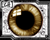 [CH] Brown Eye