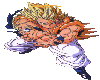 .PDG. GOKU Fighting Anim
