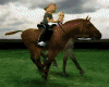 Horse Riding