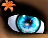 Prism Eyes Turquoise
