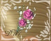 Pink Roses&Babys Breath
