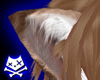 Fennec Fox Ears