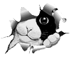 cat felix gif :p