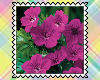 Spring/Sum-FlowerStamps
