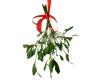 Mistletoe Headband