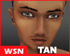 [wsn]Tan Hot Male