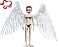 Arch Angel Wings-white