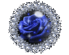 Sparkling Blue Rose