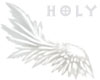 SilverGrey Floating Wing