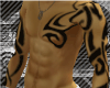 [xD] Tribal