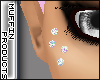 [m] Sparkle Antibrow
