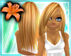 Aya: Highlights in Honey