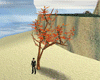 The lovely Tree