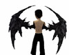 Diablo Wings