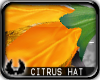 -cp Citrus Flower
