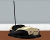 Royal Bumper Cars